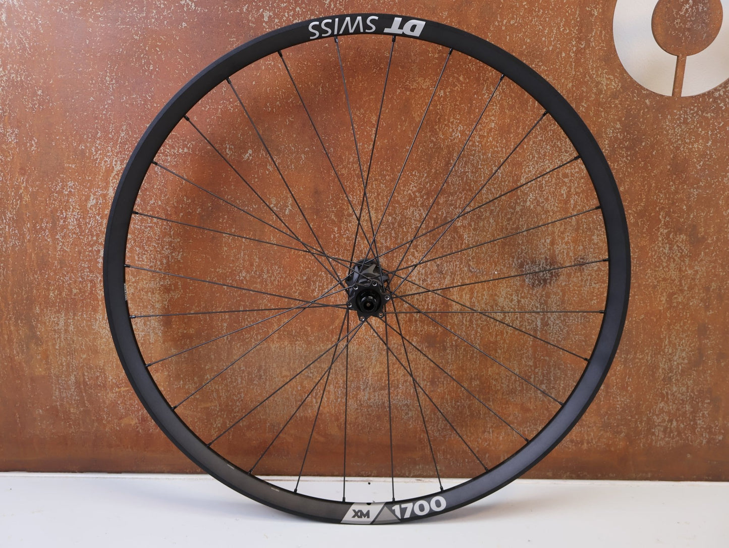 Laufrad/Laufradsatz von Dt Swiss, DT SWISS XM 1700 SPLINE 30 29 BOOST LAUFRADSATZ XD vor USEDBIKES-OB.DE Hintergrund