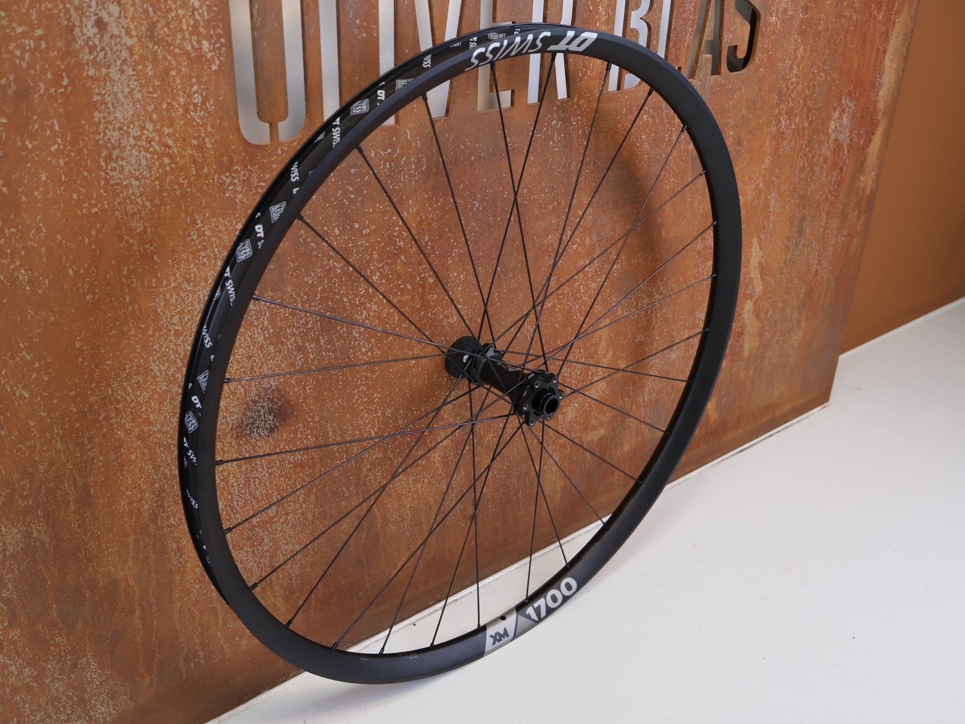 Laufrad/Laufradsatz von Dt Swiss, DT SWISS XM 1700 SPLINE 30 29 BOOST LAUFRADSATZ XD vor USEDBIKES-OB.DE Hintergrund