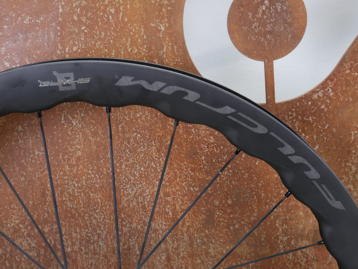 Laufrad/Laufradsatz von Fulcrum, FULCRUM SHARQ 42 CARBON LAUFRADSATZ DISC vor USEDBIKES - OB.DE Hintergrund