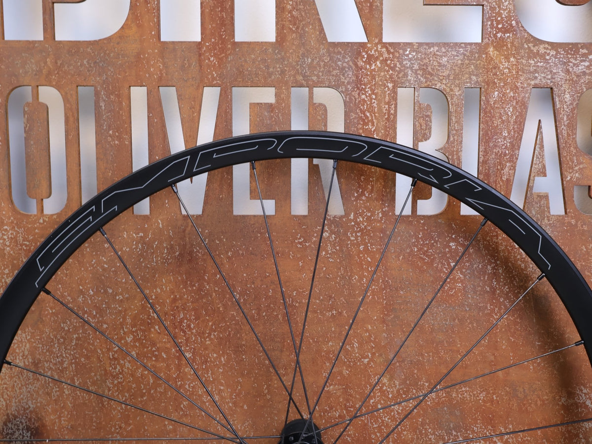 Laufrad/Laufradsatz von Hed, HED Emporia GA Pro Gravel Laufradsatz 700c 25mm N3W 1703g vor USEDBIKES-OB.DE Hintergrund