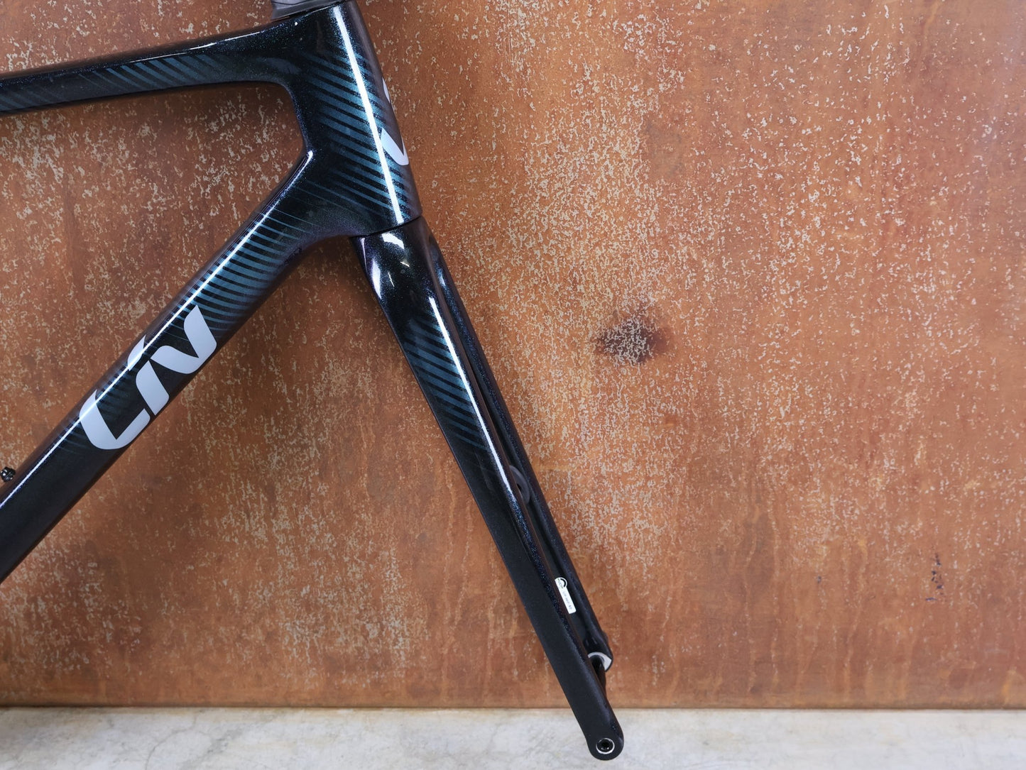 Rennradrahmen von Liv, LIV LANGMA ADVANCED DISC / CARBON RAHMENSET / GRÖSSE S / COMPACT ROAD / 1900 G vor USEDBIKES - OB.DE Hintergrund