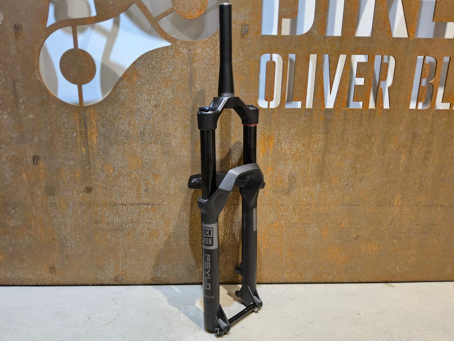 Federgabel von Rock Shox, ROCKSHOX PSYLO GOLD RC / 29" / 35MM / 160MM / BOOST / SCHWARZ MATT vor USEDBIKES - OB.DE Hintergrund