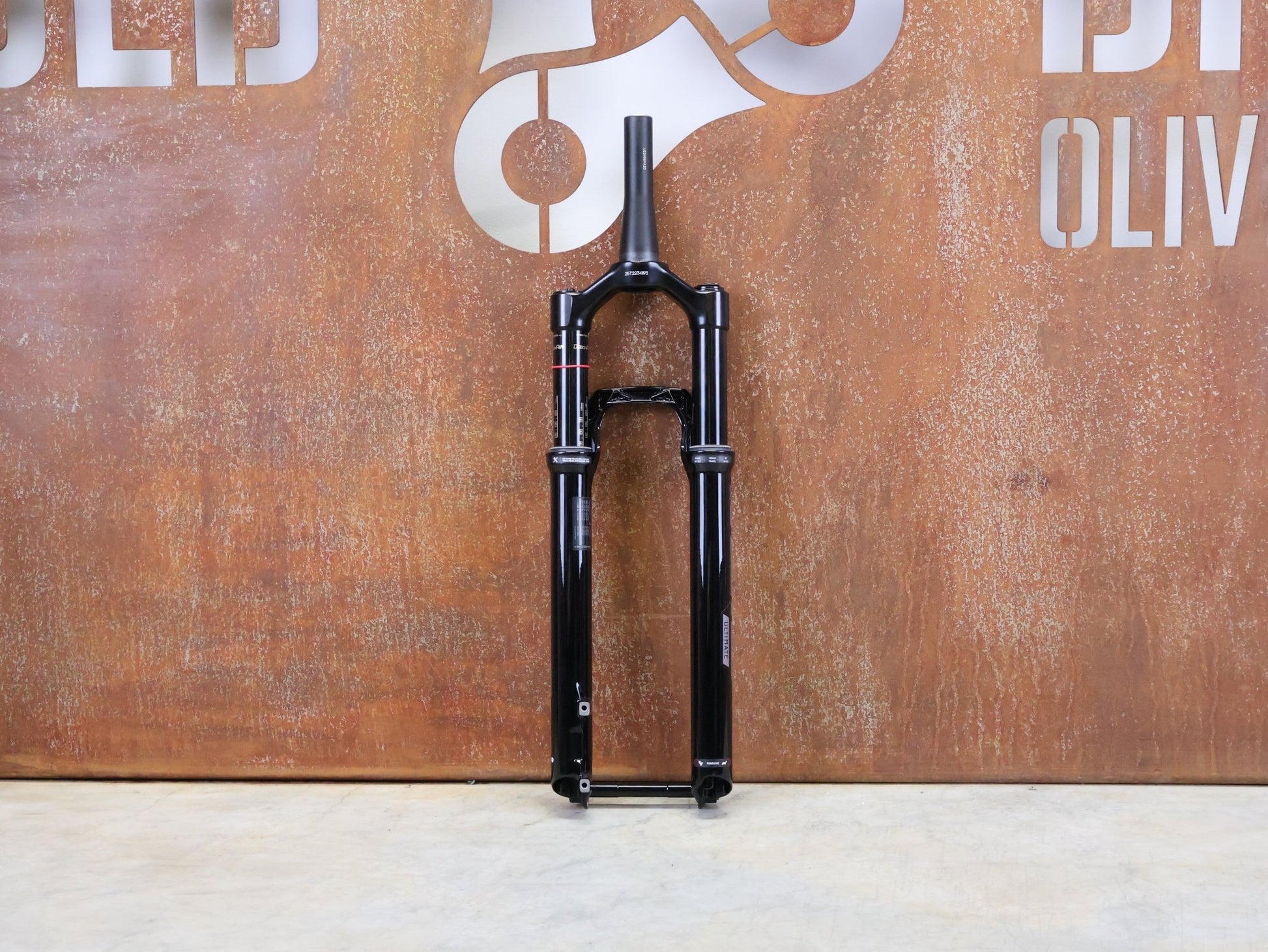 Federgabel von Rock Shox, ROCKSHOX – SID ULTIMATE / 29 / 110 MM / BOOST 15×110 / GLOSS BLACK / CHARGER RACE DAY vor USEDBIKES - OB.DE Hintergrund