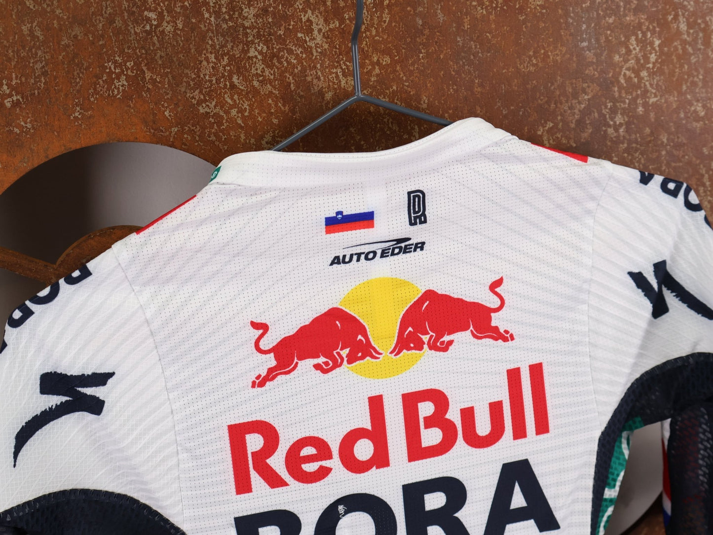 Anzug - BOH von Specialized, SPECIALIZED RED BULL - BORA HANSGROHE LIGHTWEIGHT SKIN SUIT SS ROGLIČ / EINTEILER KURZ vor USEDBIKES - OB.DE Hintergrund