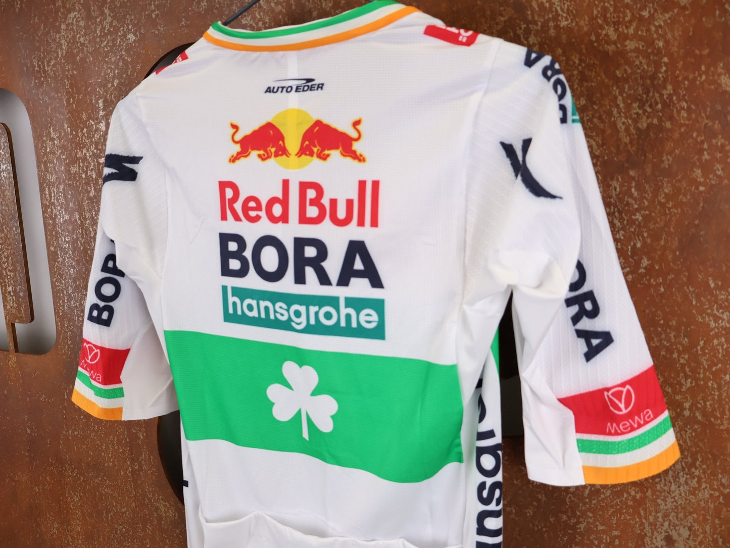 Kurzarm Trikot - BOH von Specialized, SPECIALIZED RED BULL - BORA HANSGROHE RACE JERSEY SS / IRISH CHAMPION vor USEDBIKES - OB.DE Hintergrund
