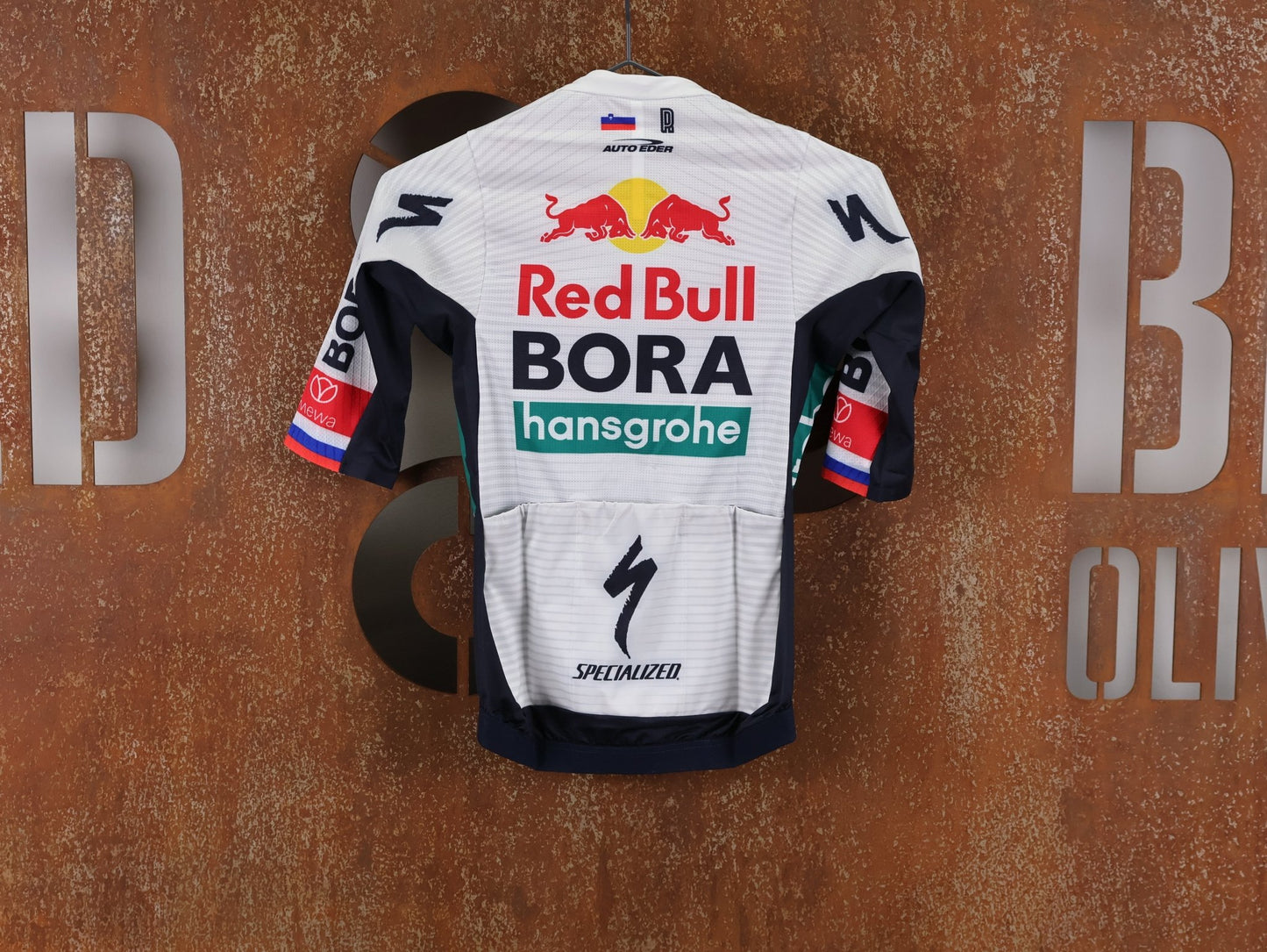 Kurzarm Trikot - BOH von Specialized, SPECIALIZED RED BULL - BORA HANSGROHE RACE JERSEY SS ROGLIČ / KURZARM TRIKOT vor USEDBIKES - OB.DE Hintergrund