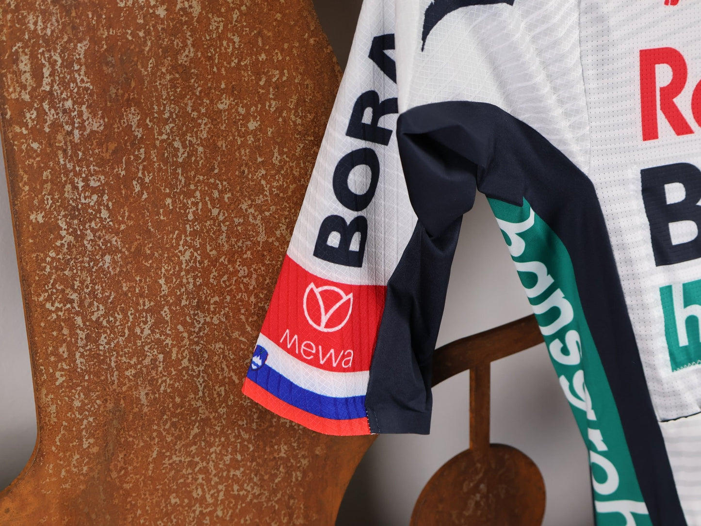 Anzug - BOH von Specialized, SPECIALIZED RED BULL - BORA HANSGROHE ROAD SKIN SUIT SS ROGLIČ / EINTEILER KURZ vor USEDBIKES - OB.DE Hintergrund