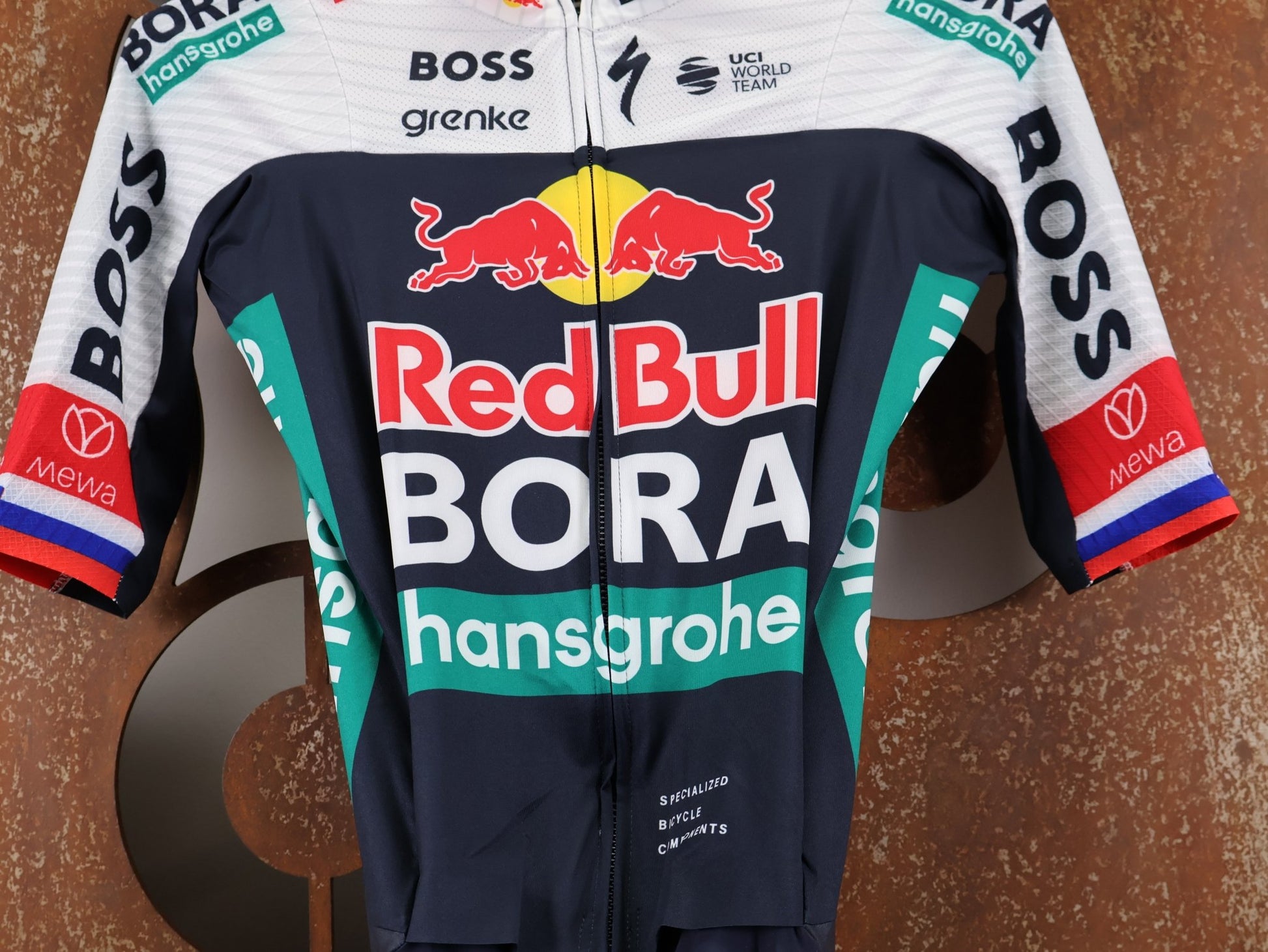 Anzug - BOH von Specialized, SPECIALIZED RED BULL - BORA HANSGROHE ROAD SKIN SUIT SS ROGLIČ / EINTEILER KURZ vor USEDBIKES - OB.DE Hintergrund