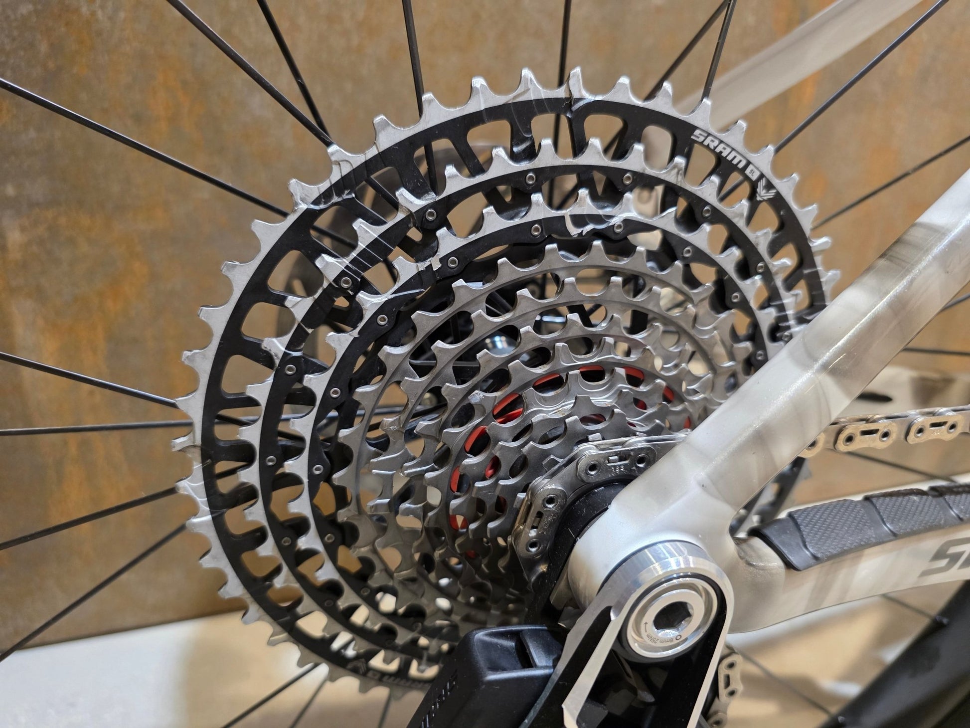 Mountainbike von Trek, TREK FACTORY RACING TEAM PROCALIBER TRANSMISSION XX SL / M vor USEDBIKES - OB.DE Hintergrund