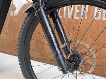 E - Mountainbike von Trek, TREK RAIL+ 9.8 GX AXS T - TYPE GEN 5 / GRÖSSE L / 800 WH / PENNYFLAKE vor USEDBIKES - OB.DE Hintergrund