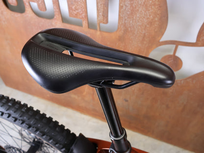 E - Mountainbike von Trek, TREK RAIL+ 9.8 GX AXS T - TYPE GEN 5 / PENNYFLAKE / S vor USEDBIKES - OB.DE Hintergrund